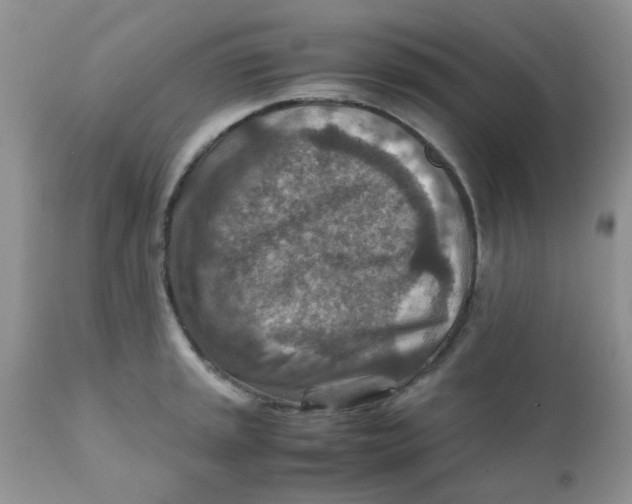 X0000111901045200908171234