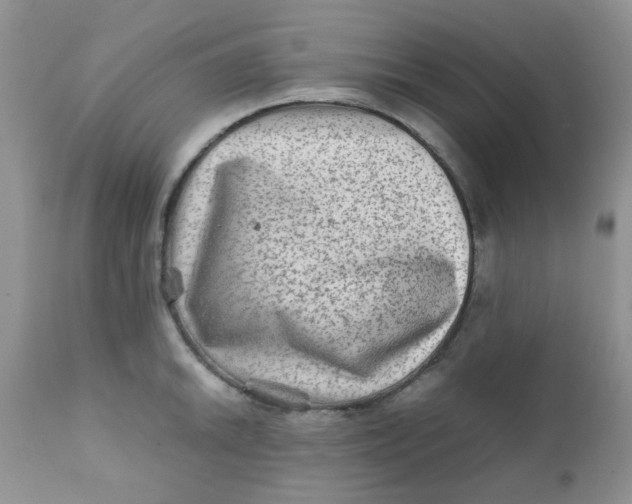 X0000111901046200908171234