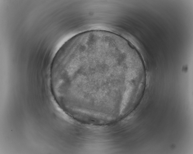 X0000111901048200908171234