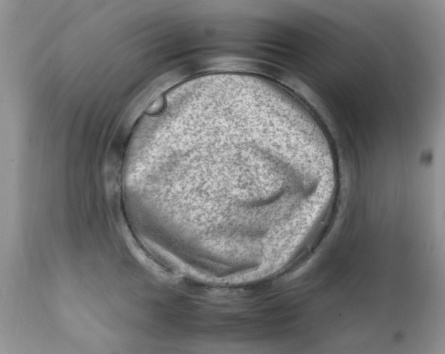 X0000111901049200908171234