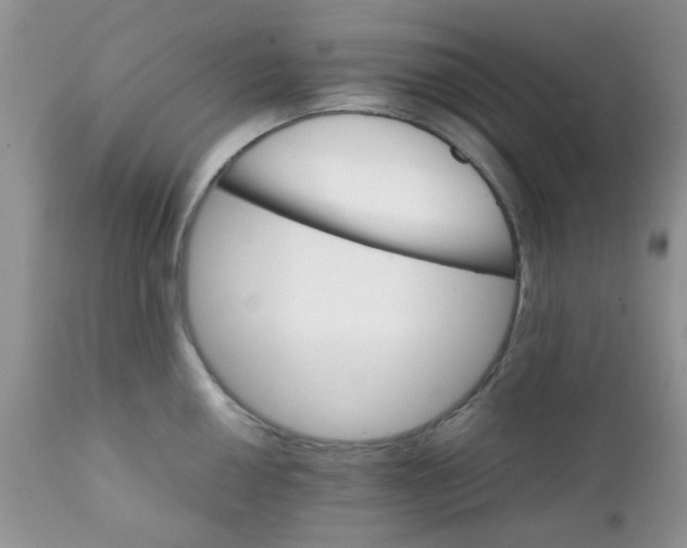 X0000111901050200908171234