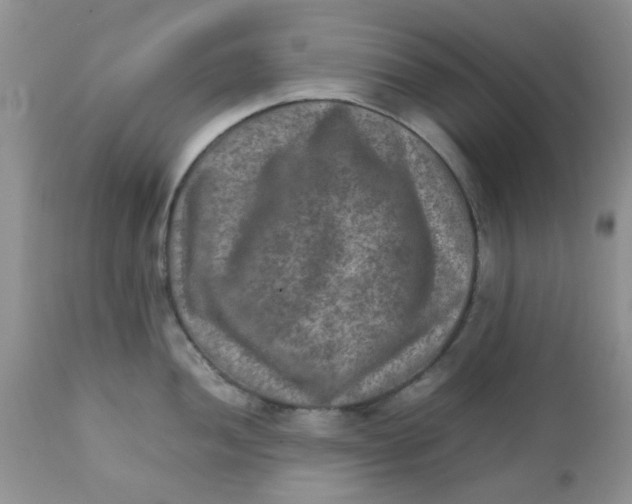 X0000111901052200908171234