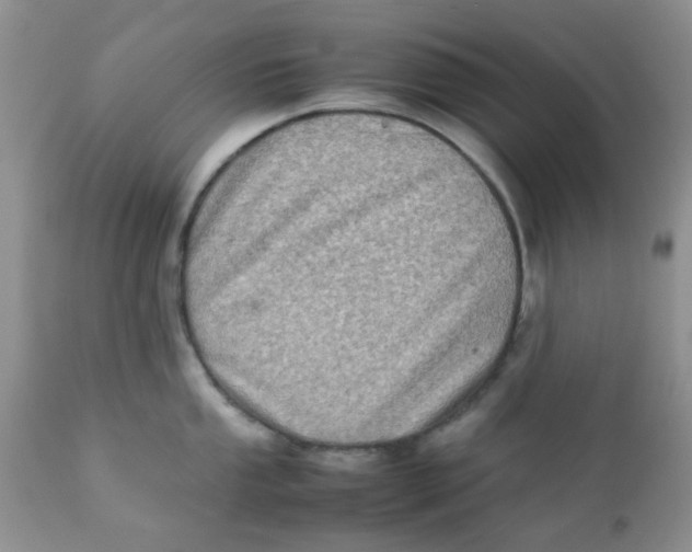 X0000111901053200908171234