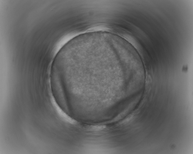 X0000111901055200908171234