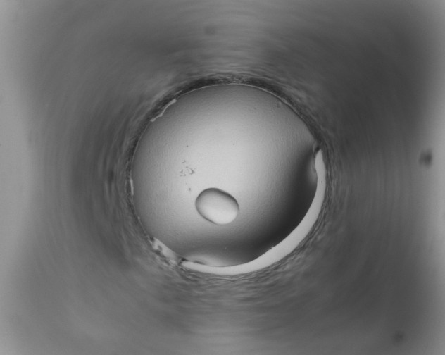 X0000111901057200908171233