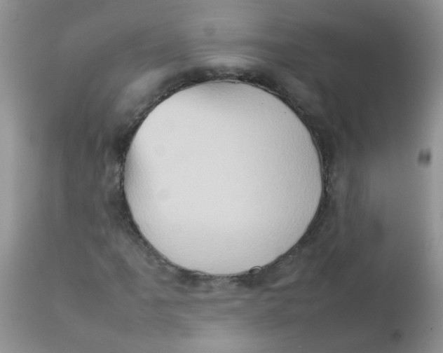 X0000111901061200908171233