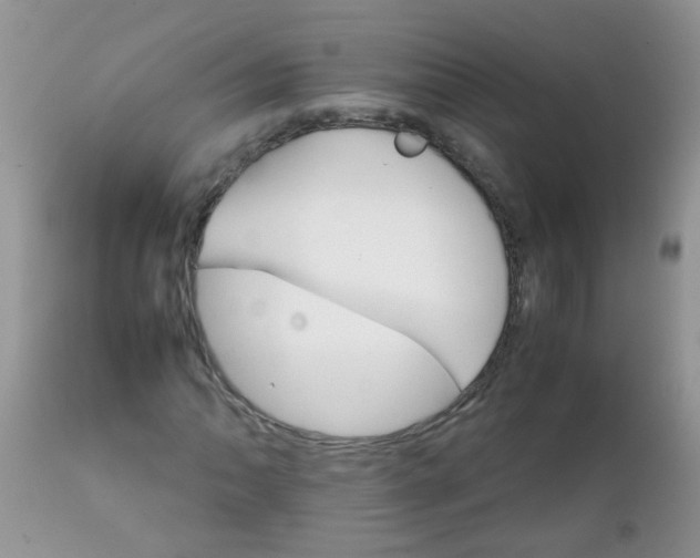 X0000111901062200908171233