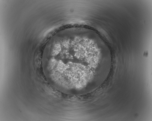 X0000111901063200908171233