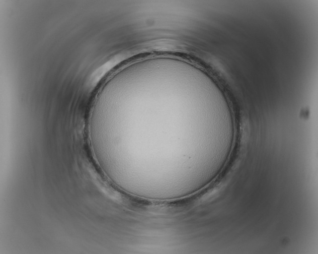 X0000111901065200908171233