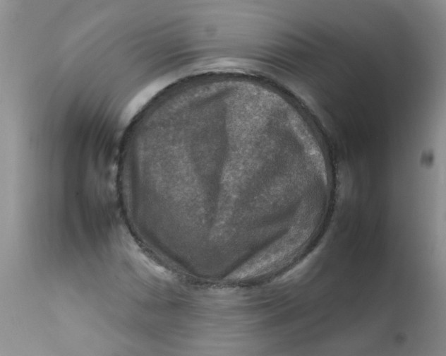 X0000111901066200908171233