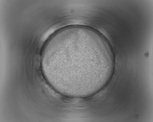 X0000111901067200908171233