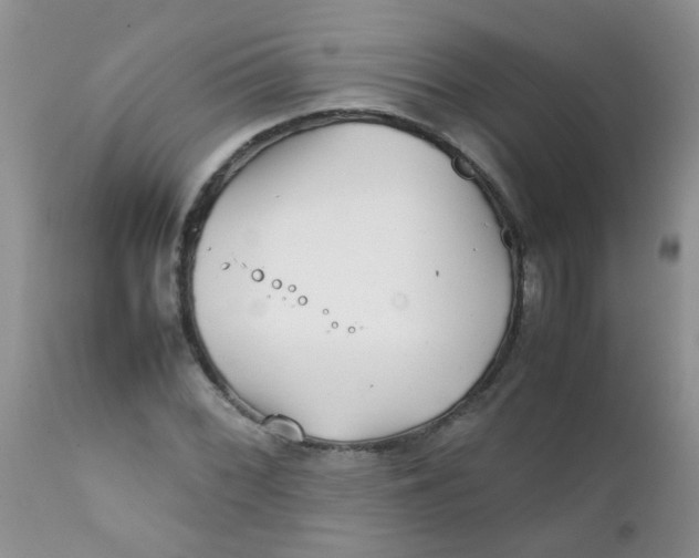 X0000111901068200908171233