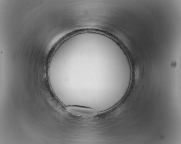 X0000111901069200908171233