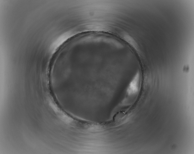 X0000111901071200908171233