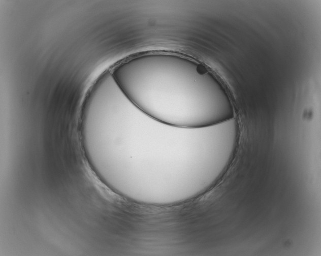 X0000111901072200908171233