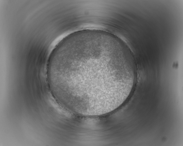 X0000111901074200908171233