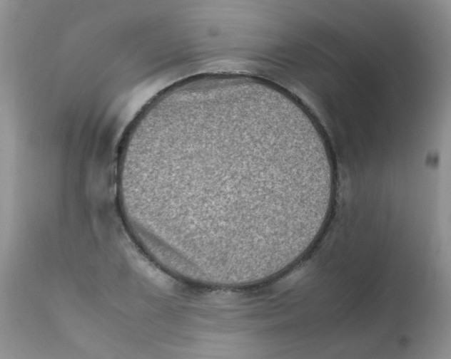 X0000111901075200908171233