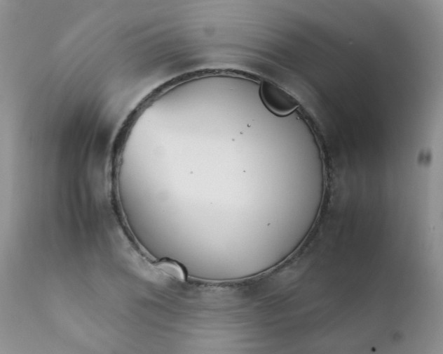 X0000111901076200908171233