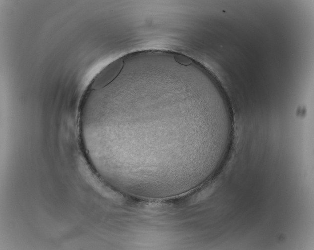 X0000111901077200908171233