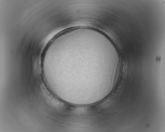 X0000111901078200908171233