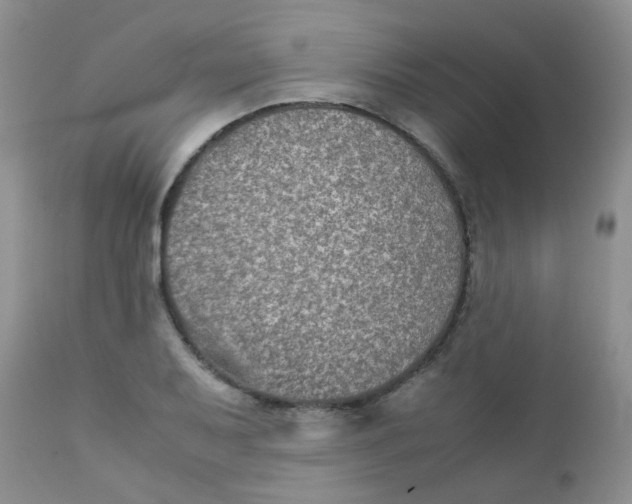 X0000111901079200908171233