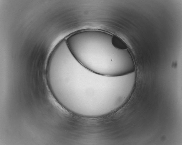 X0000111901080200908171233