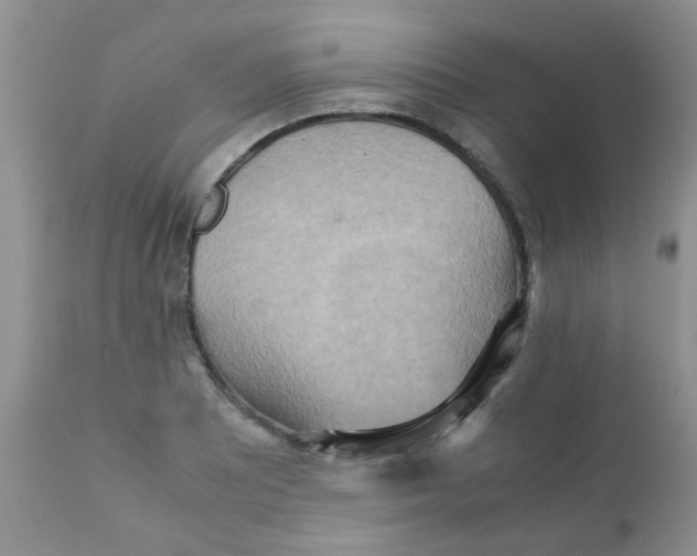 X0000111901081200908171233