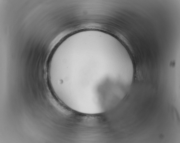 X0000111901082200908171233