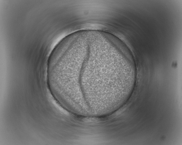 X0000111901083200908171233