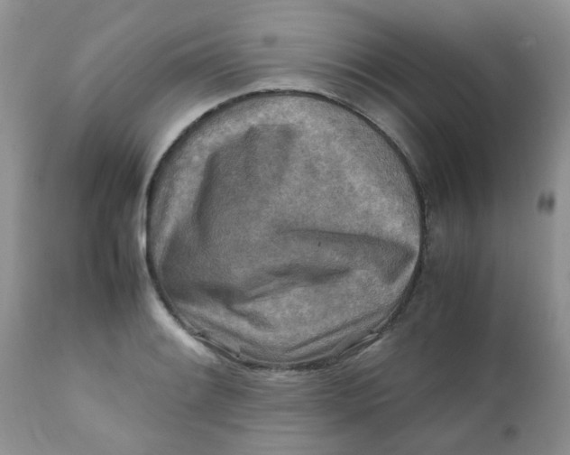 X0000111901084200908171233