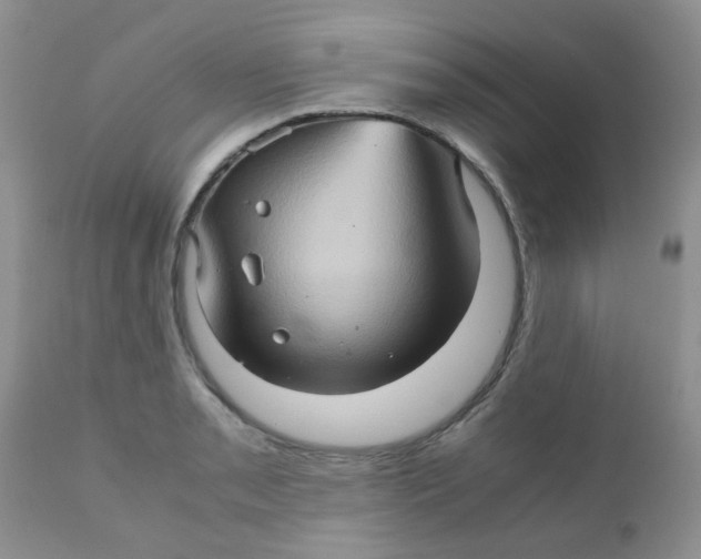 X0000111901085200908171233