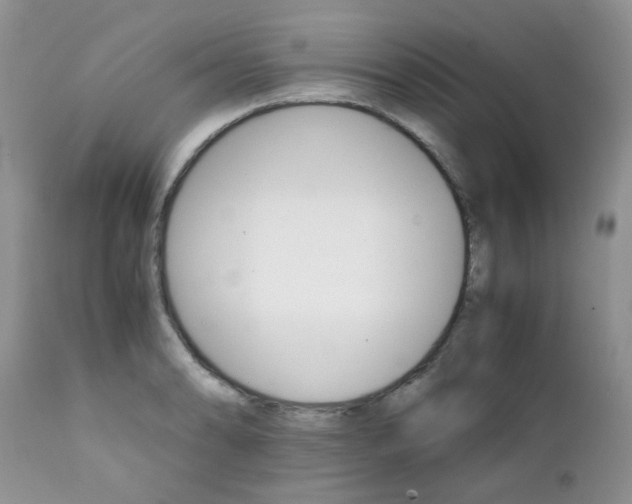 X0000111901086200908171233