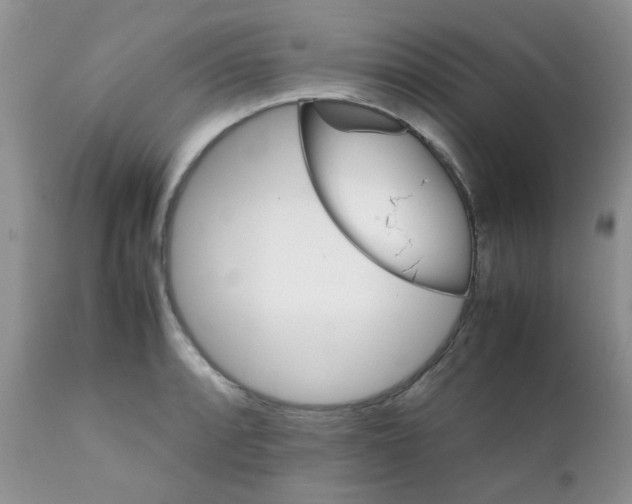 X0000111901088200908171233