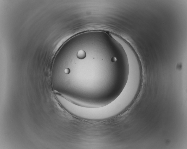 X0000111901089200908171233