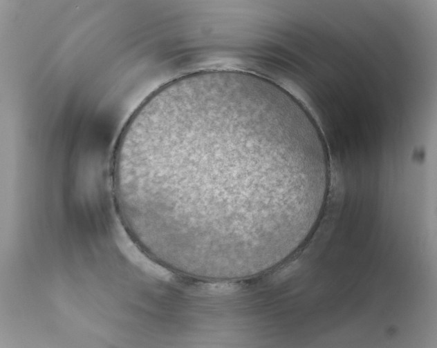 X0000111901090200908171233