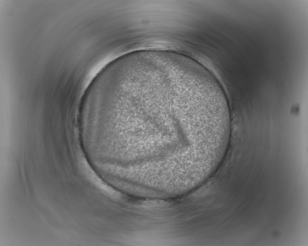 X0000111901091200908171233