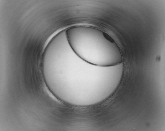 X0000111901092200908171233