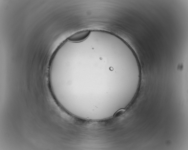 X0000111901093200908171233