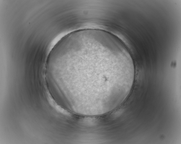 X0000111901094200908171233