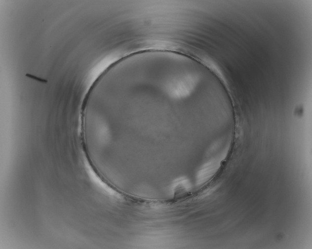 X0000111901095200908171233