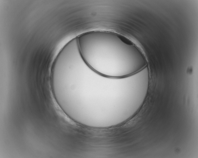 X0000111901096200908171233