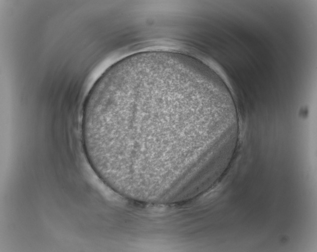 X0000111901099200908171233