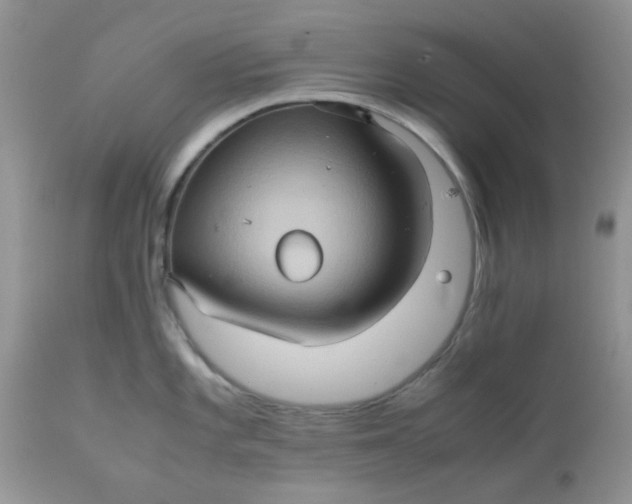 X0000111901101200908171233