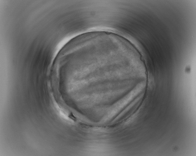 X0000111901102200908171233