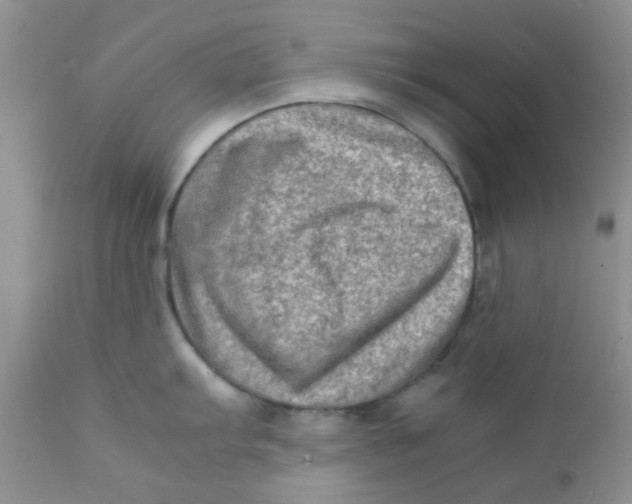 X0000111901103200908171233