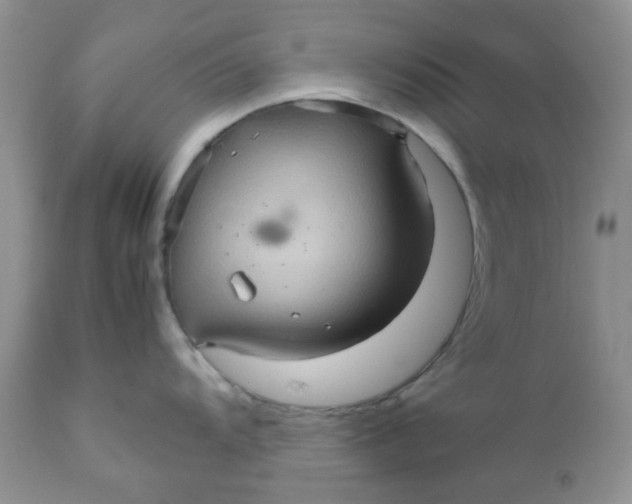 X0000111901104200908171233