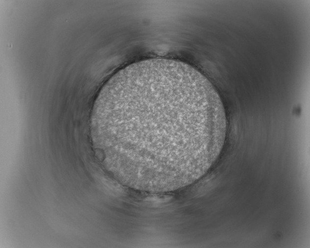 X0000111901105200908171232