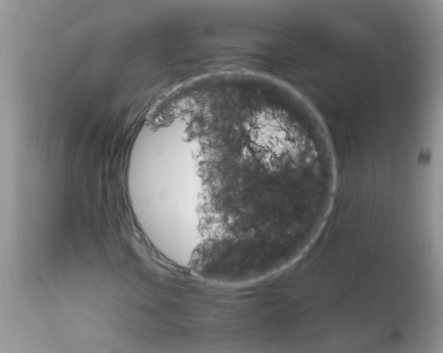 X0000111901106200908171232