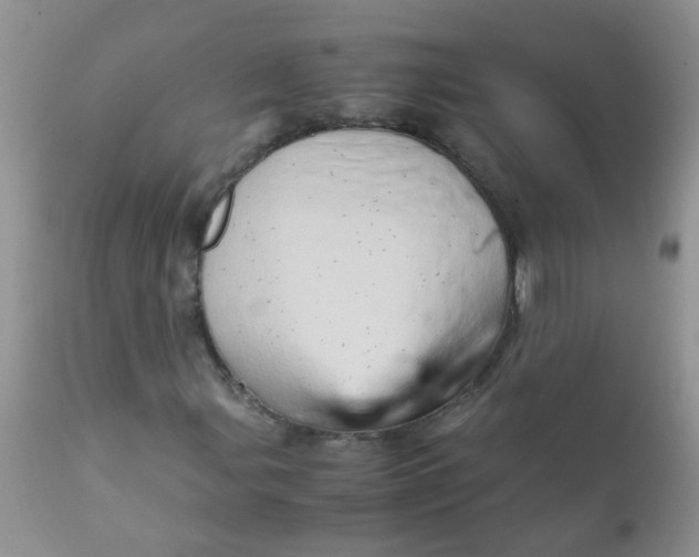 X0000111901107200908171232