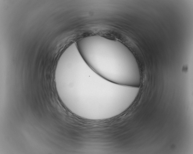 X0000111901108200908171232